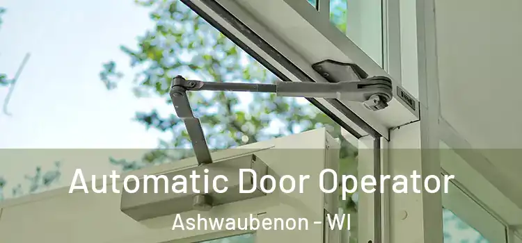  Automatic Door Operator Ashwaubenon - WI