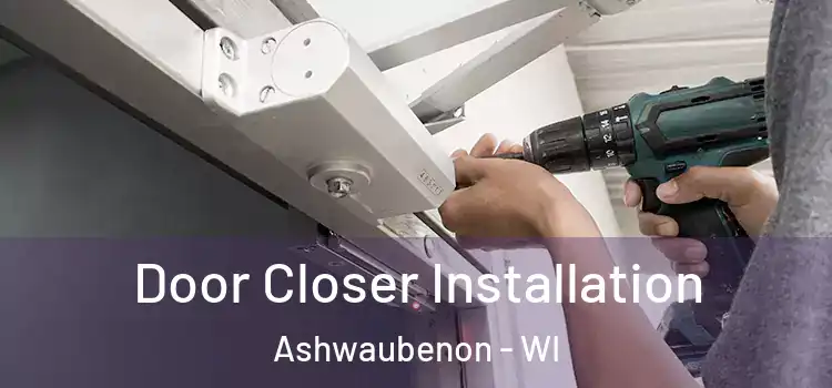  Door Closer Installation Ashwaubenon - WI