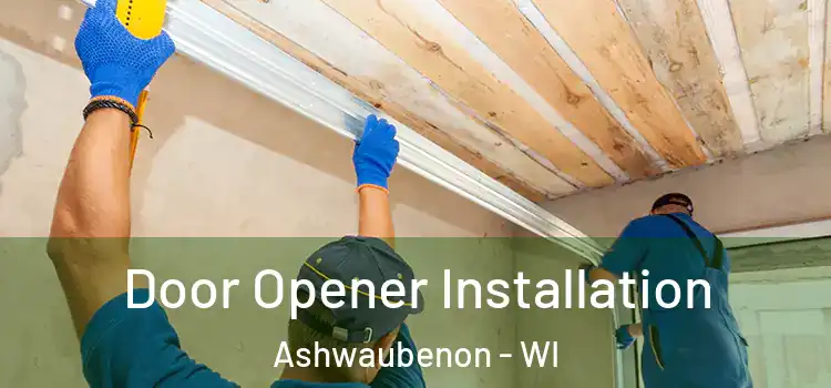  Door Opener Installation Ashwaubenon - WI