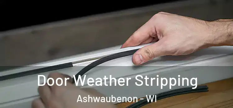 Door Weather Stripping Ashwaubenon - WI