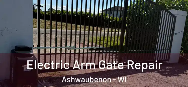 Electric Arm Gate Repair Ashwaubenon - WI