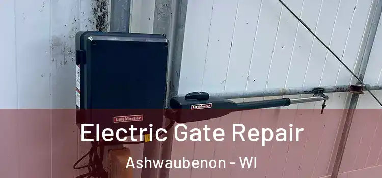 Electric Gate Repair Ashwaubenon - WI