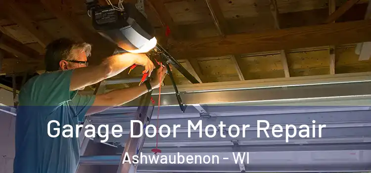  Garage Door Motor Repair Ashwaubenon - WI