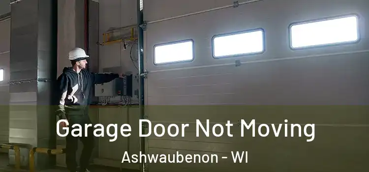  Garage Door Not Moving Ashwaubenon - WI