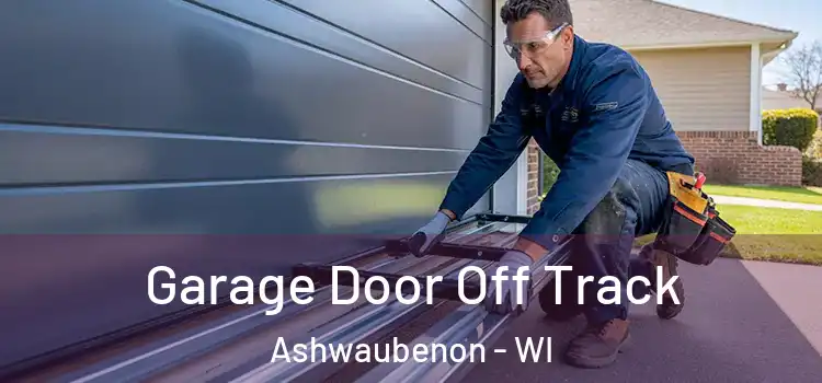  Garage Door Off Track Ashwaubenon - WI