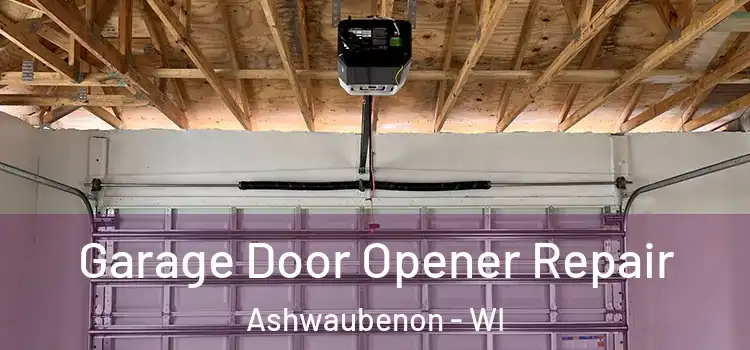  Garage Door Opener Repair Ashwaubenon - WI