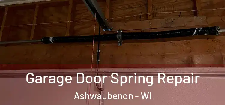 Garage Door Spring Repair Ashwaubenon - WI