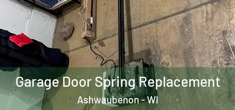  Garage Door Spring Replacement Ashwaubenon - WI