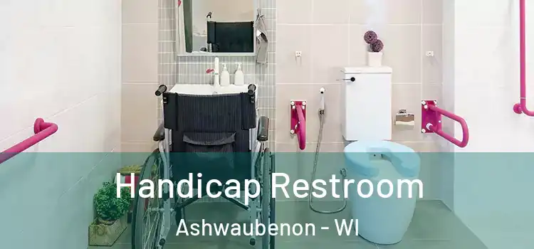  Handicap Restroom Ashwaubenon - WI