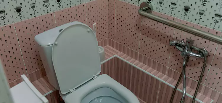 Meeting Diverse Needs With Accessible Restroom Solutions in Ashwaubenon, WI