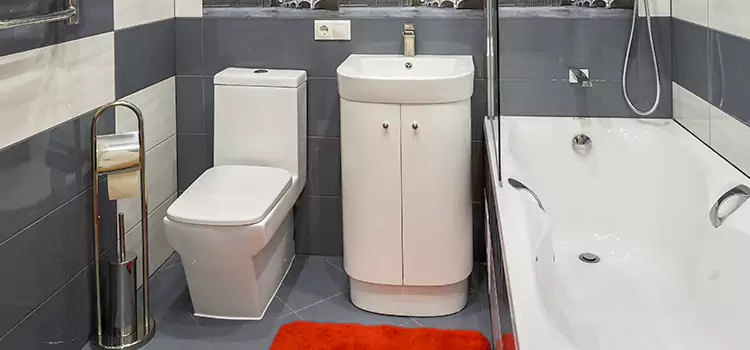 Hansgrohe Shaving Mirror Ashwaubenon