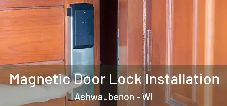  Magnetic Door Lock Installation Ashwaubenon - WI