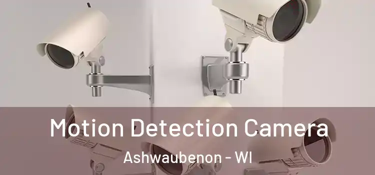  Motion Detection Camera Ashwaubenon - WI