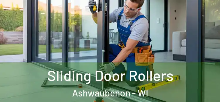  Sliding Door Rollers Ashwaubenon - WI