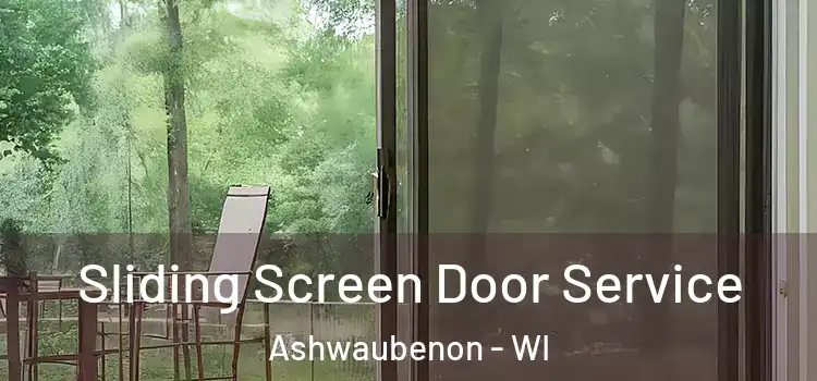 Sliding Screen Door Service Ashwaubenon - WI